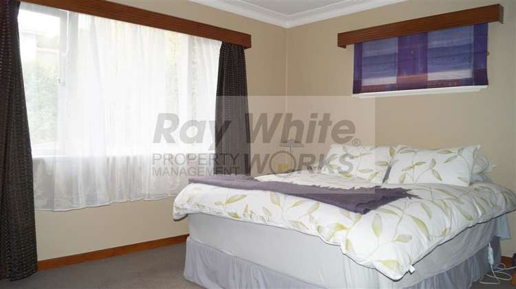 16 Every Street Andersons Bay_1