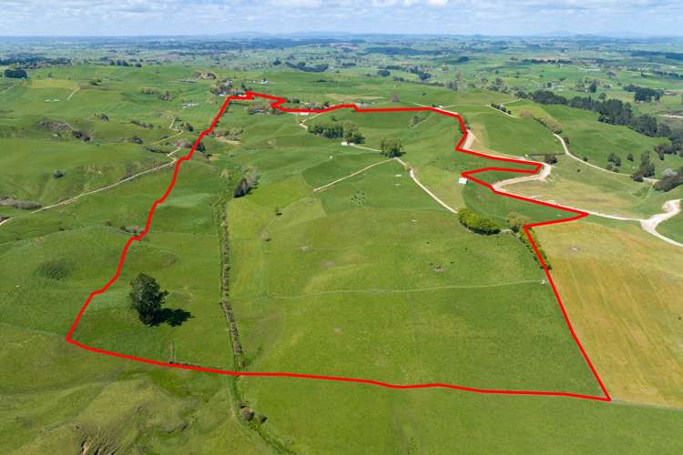 653 Overdale Road Putaruru_19
