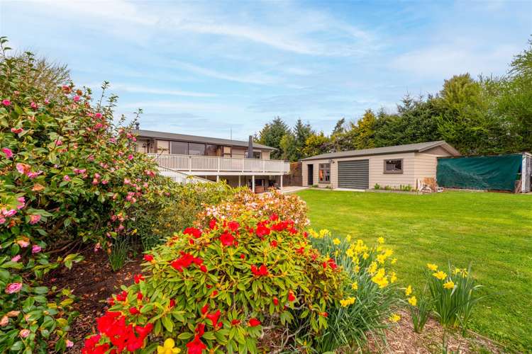 298 Oamaru-Alma Road Alma_17