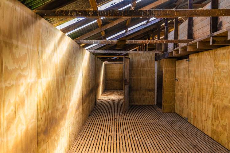 1169 Ruakaka Road Tiniroto_13