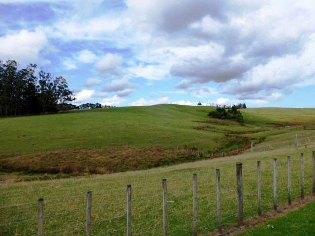 1577 Tangowahine Valley Road Dargaville Surrounds_3