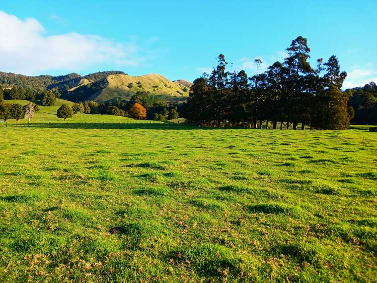 92 Takahue Saddle Road Takahue_12