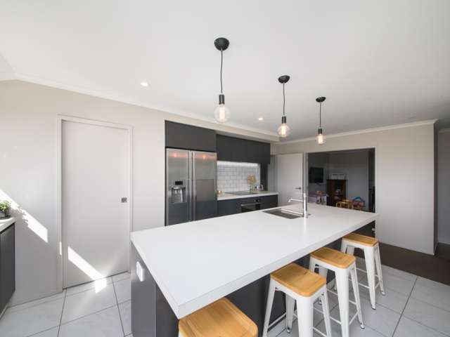 161 Mount Taylor Drive Feilding_2