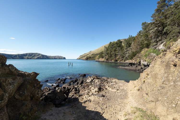 440 Camp Bay Road Port Levy_11