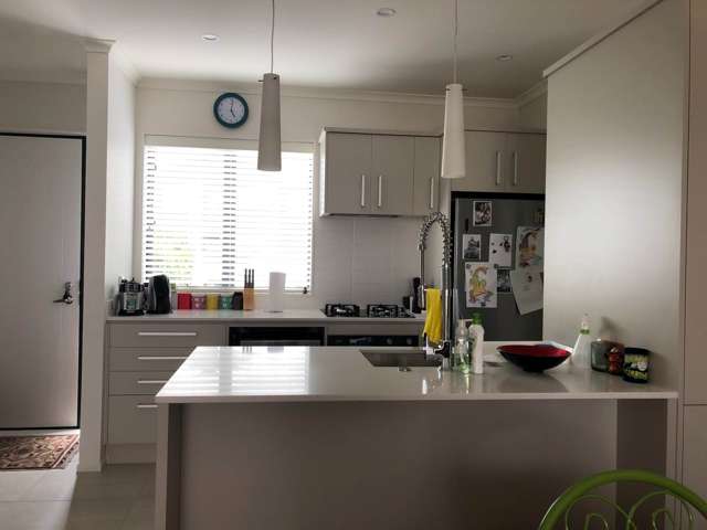 29 Pencaitland Drive Flat Bush_3