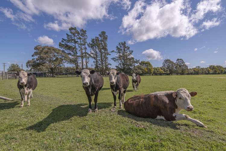 84 Prossers Road Leeston_19