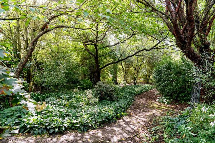 281 Bush Road Mosgiel_21