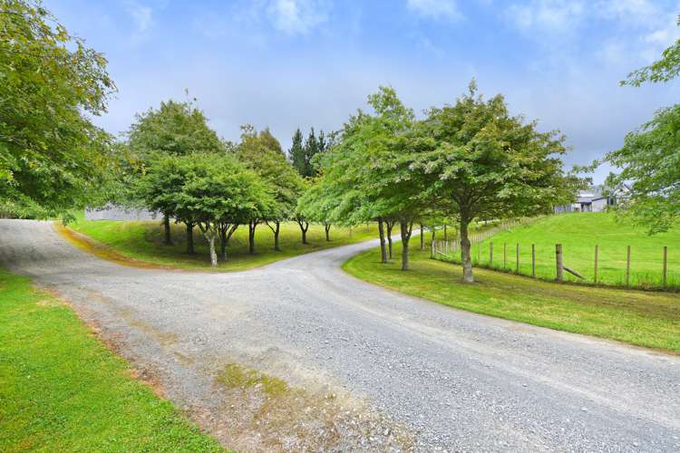 1021 Whitemans Valley Road Blue Mountains_22