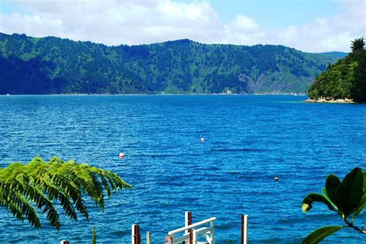 Arthurs Bay Kenepuru Sound_13