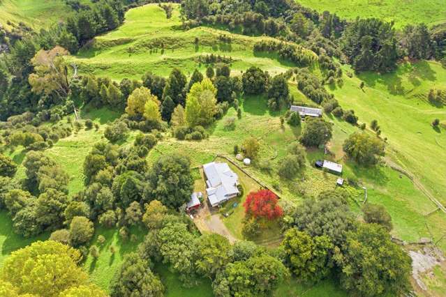 3499 State Highway 4 Kakatahi_1