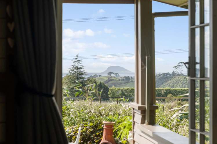 482B Esdaile Road Whakamarama_34