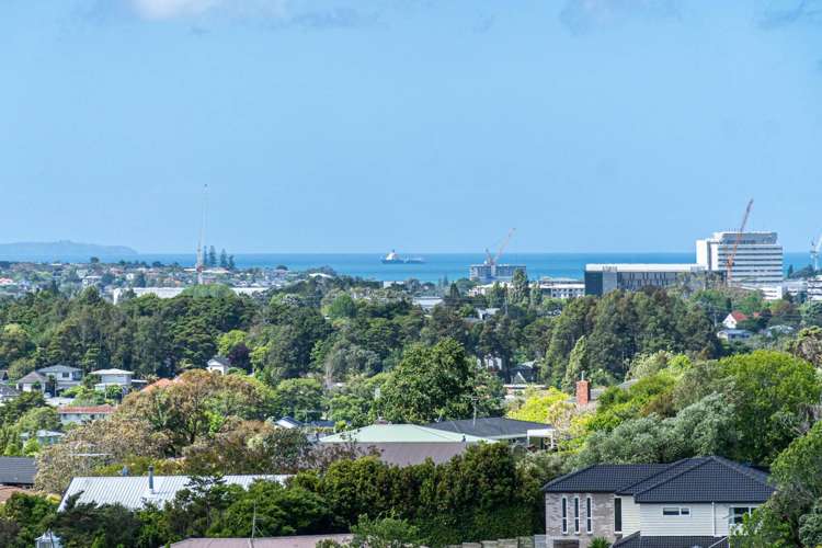 92 Alton Avenue Hillcrest_5