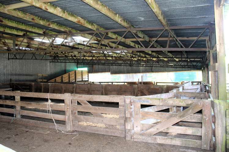 331 Waitahora Road Waitahora_11