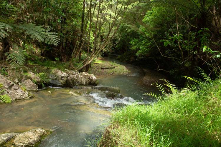 599 Te Puroa Road Ngaruawahia_12