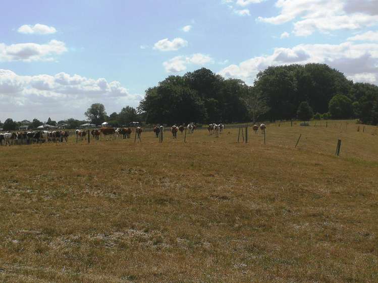 Kereone Road Morrinsville_6