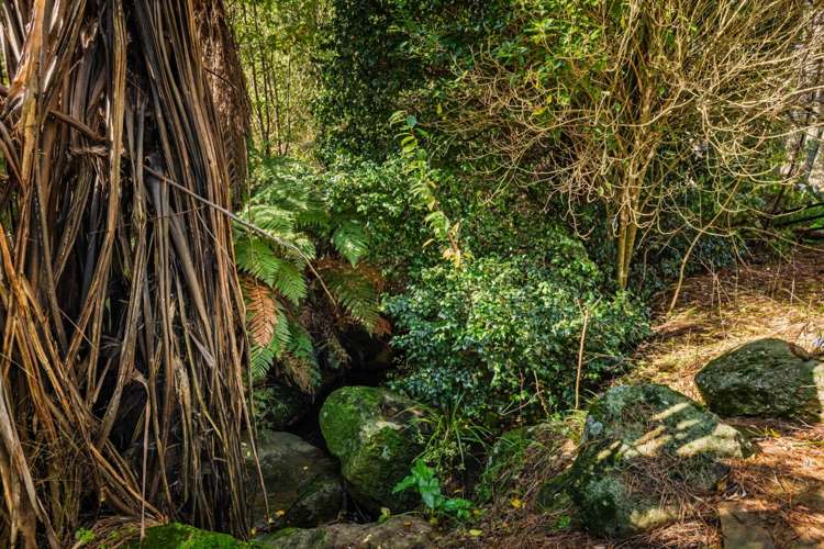 2b Lemon Grove Kerikeri Surrounds_25