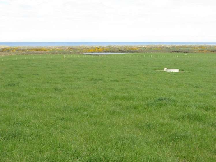 368 Otara Haldane Road Wyndham Surrounds_4