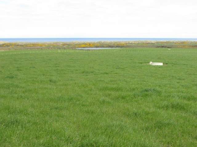 368 Otara Haldane Road Wyndham Surrounds_4