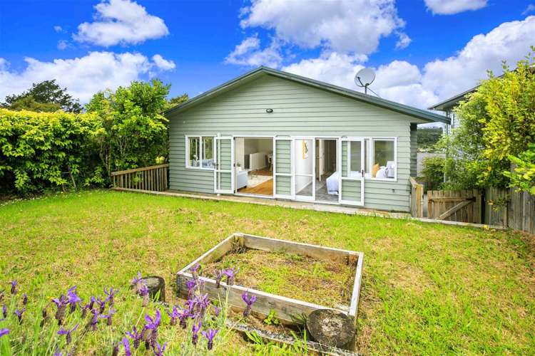 61 The Avenue Albany_20