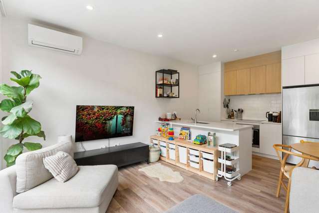 6 Panehe Lane Mt Wellington_2