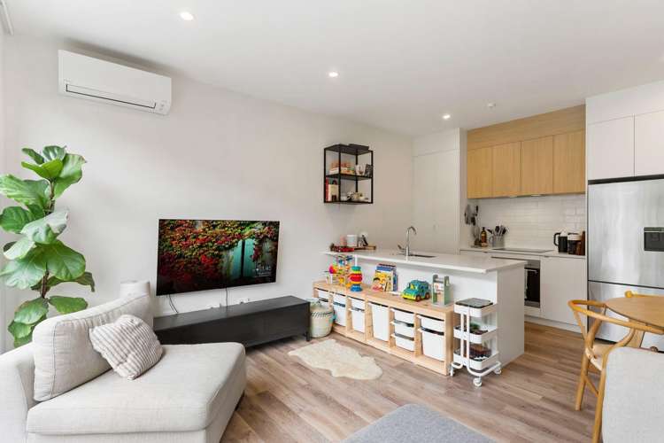 6 Panehe Lane Mt Wellington_2