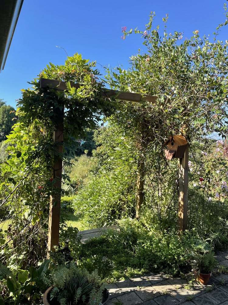 14 Saint Clements Grove Bethlehem_6