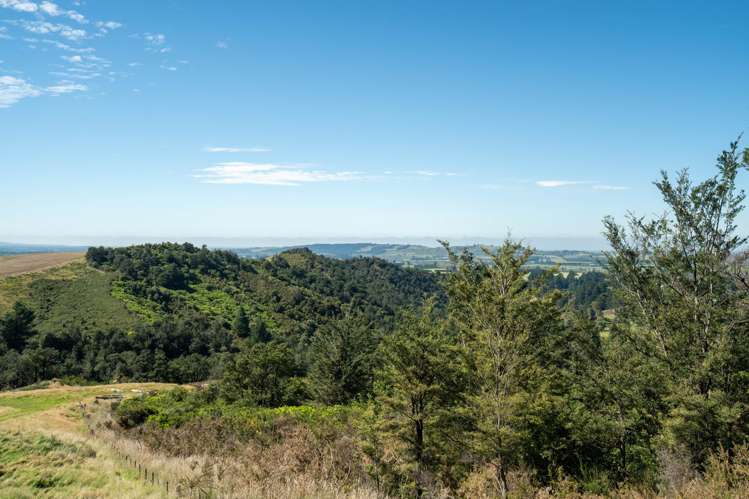 Tuscany Downs - 74 Glentui Bush Road Oxford_5