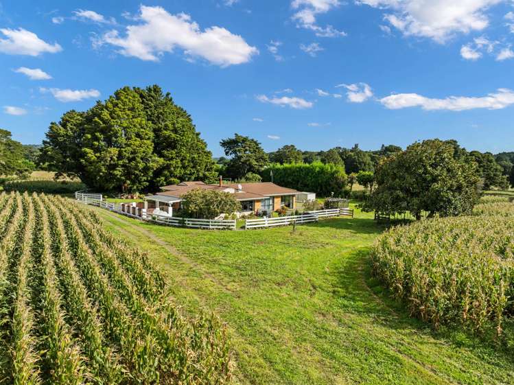397 Three Mile Bush Road Te Kamo_22