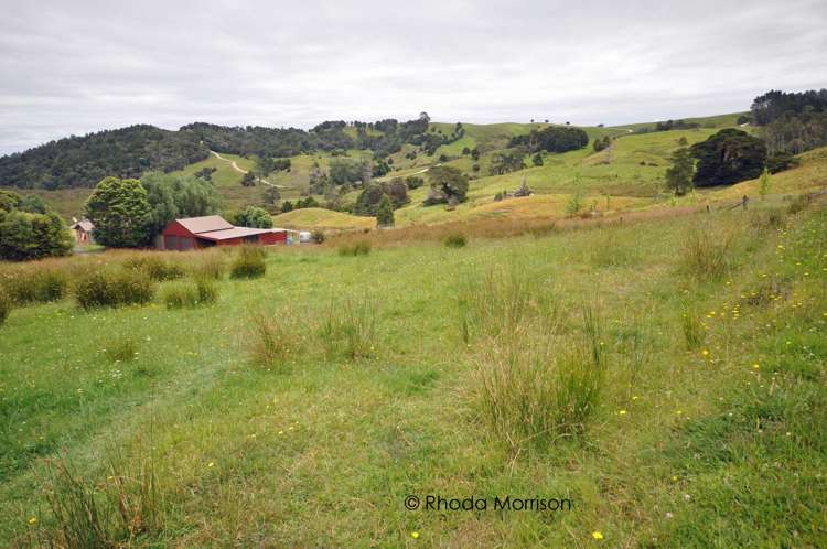 10 Te Pahi River Drive Paparoa_11