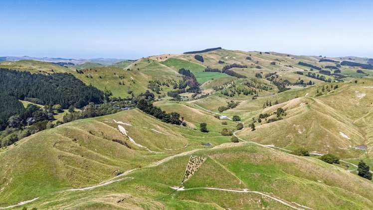 1823 Opaki Kaiparoro Road Mauriceville_10