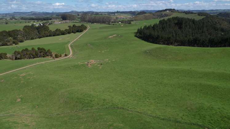 966 Te Ahu Ahu Road Kerikeri Surrounds_17