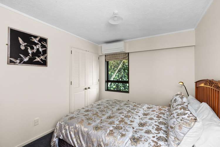 15 Hornsey Road Bluff Hill_10