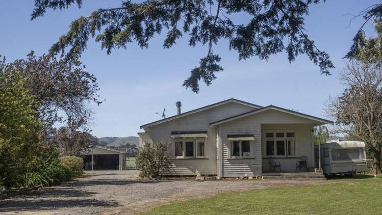 2556 State Highway 53 Martinborough_9