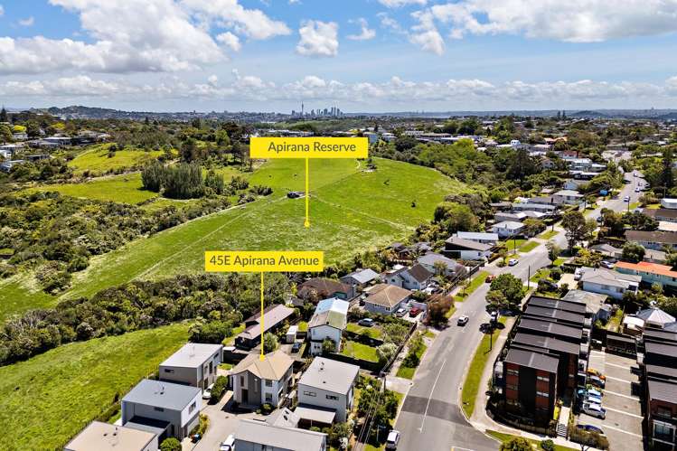 45E Apirana Avenue Glen Innes_18