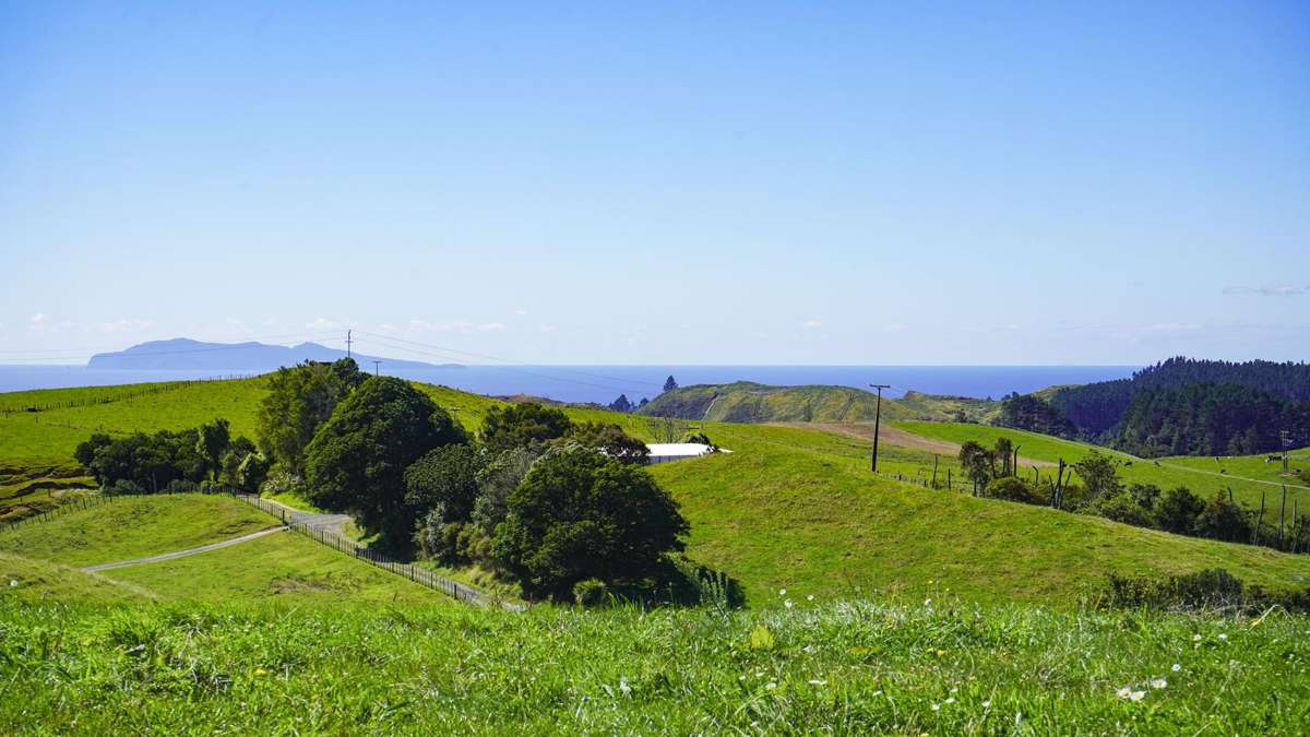 1158a Waihi-Whangamata Road_5