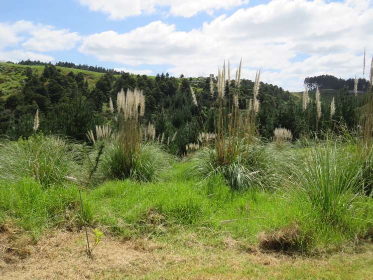 609a Bickerstaffe Road Maungaturoto_21