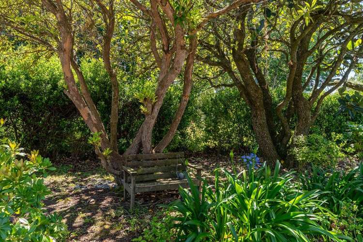 53 Victoria Street Carterton_11