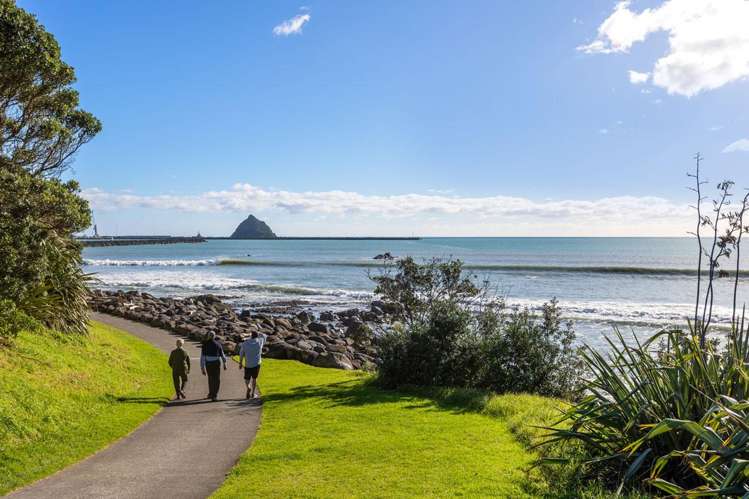 349 St Aubyn St Moturoa_6