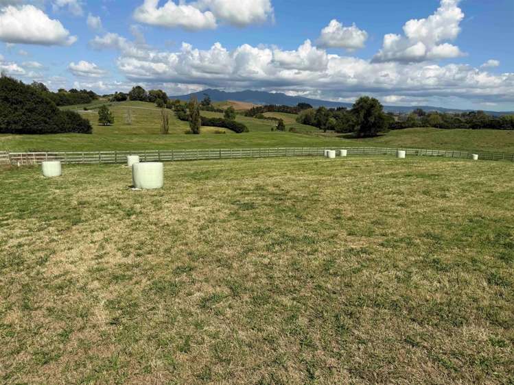 168 Gillard Road Ohaupo_9