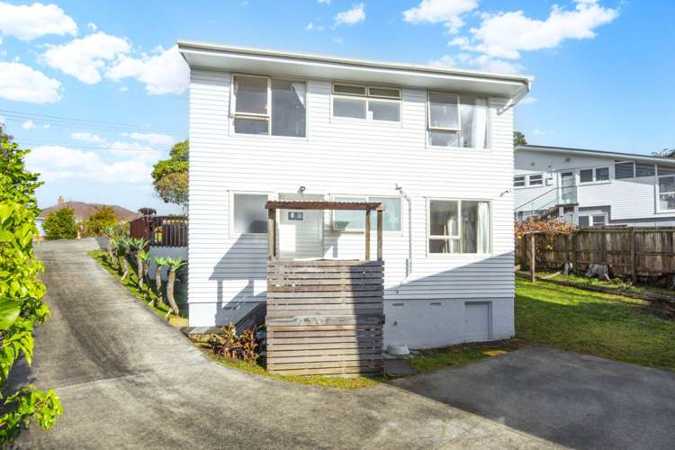61 Albrecht Avenue Mount Roskill_1