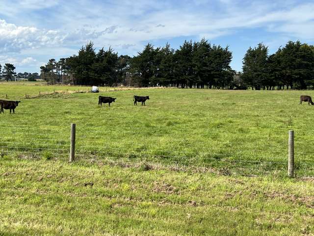 35 McKellar Road Seaward Bush_4