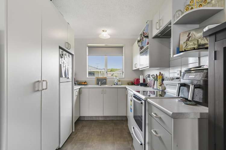 4/217 Oxford Street South Dunedin_7