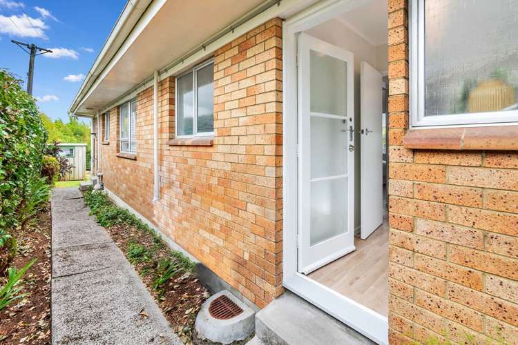 3/113 Seabrook Avenue New Lynn_11