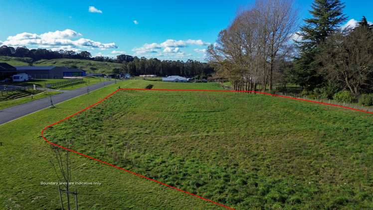 2 Willow Lane Acacia Bay_5