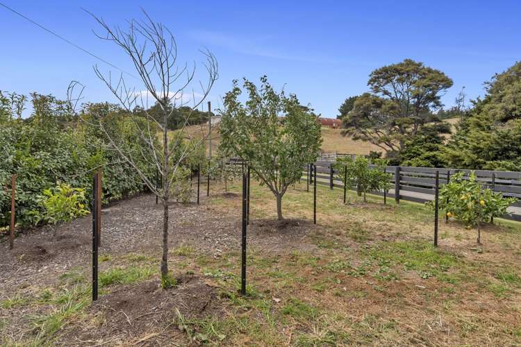 274 Rapson Road Kaukapakapa_28