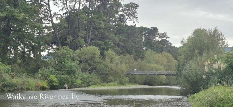 59 Kotuku Drive Paraparaumu Beach_30