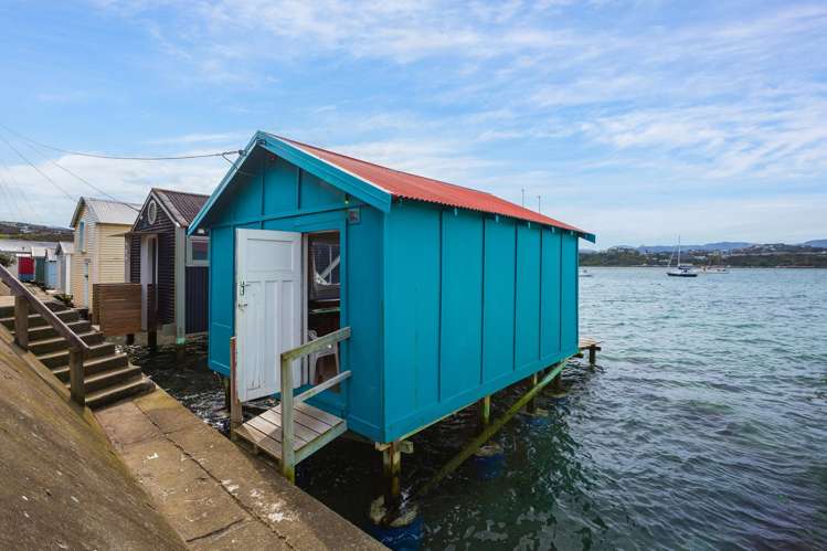 141 Evans Bay Parade Hataitai_10