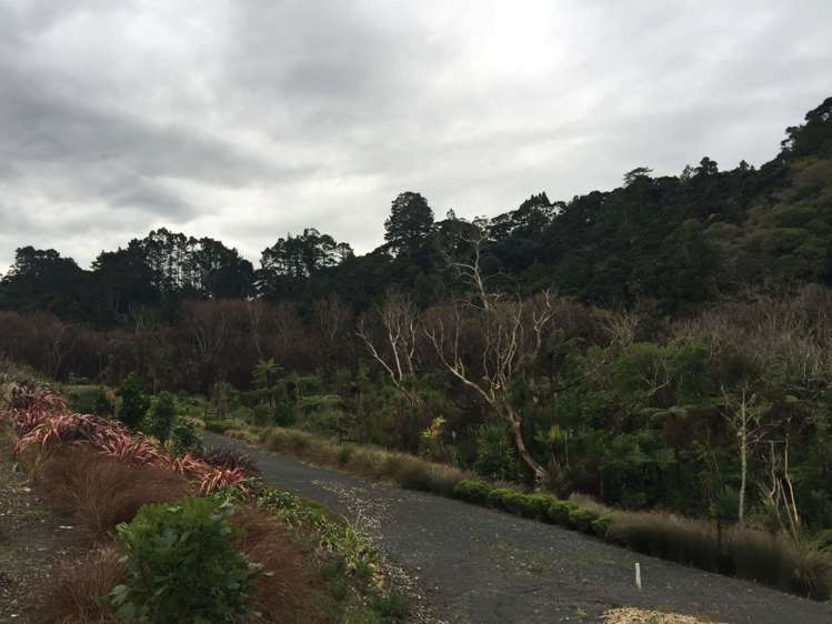 60/5 Perekia Street Albany_7