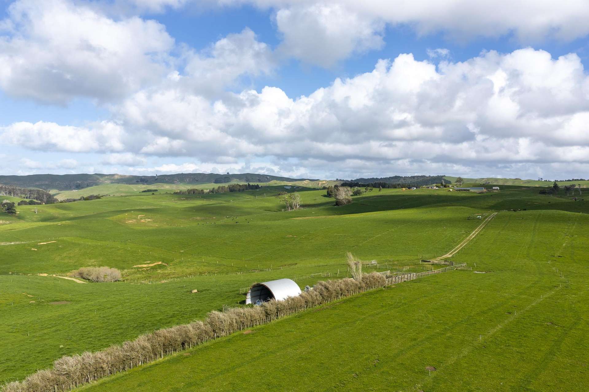 1698 Hetherington Road Huntly_0