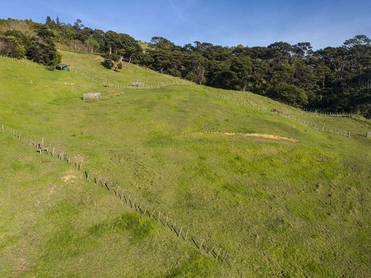 65c Manuka Grove Helensville_32